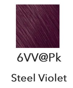 Goldwell-Steel-Violett.jpg